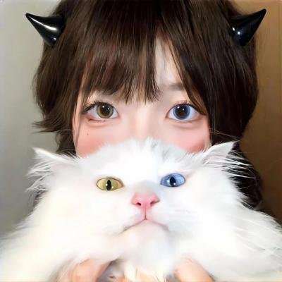 凸槌高材生